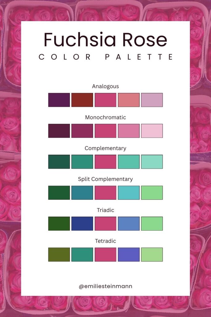 Pantone Color of the Year Fuchsia Rose (2001) color palette graphic presenting analogous, monochromatic, complementary, split complementary, triadic, and tetradic color harmony examples.