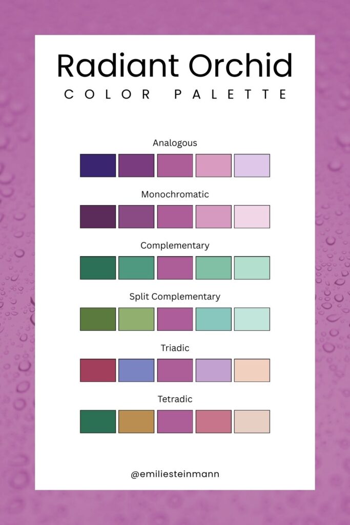 Pantone Color of the Year Radiant Orchid color palette featuring purple and pink hues arranged in multiple color harmony schemes for design reference.