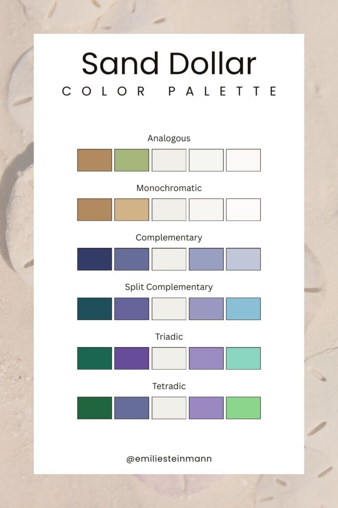 Pantone Color of the Year Sand Dollar color palette graphic featuring soft neutral color harmonies shown in analogous, monochromatic, complementary, split complementary, triadic, and tetradic schemes.