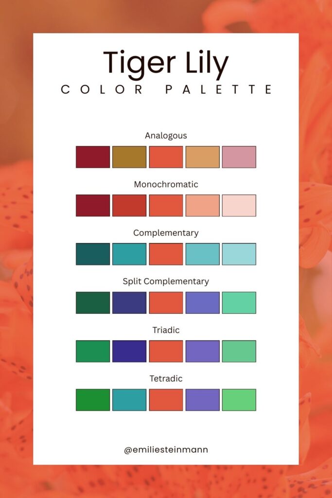 Pantone Color of the Year Tiger Lily color palette graphic presenting vibrant orange-inspired color harmonies including analogous, monochromatic, complementary, split complementary, triadic, and tetradic.