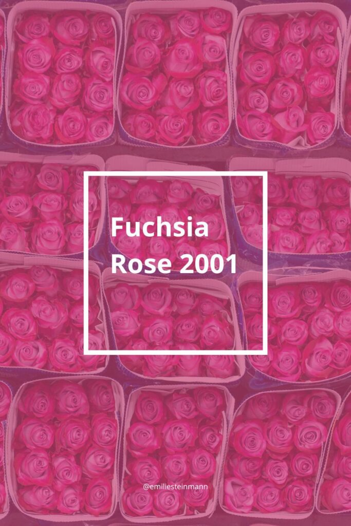 Pantone Color of the Year Fuchsia Rose (2001) color palette graphic featuring expressive color harmonies including analogous, monochromatic, complementary, split complementary, triadic, and tetradic palettes.