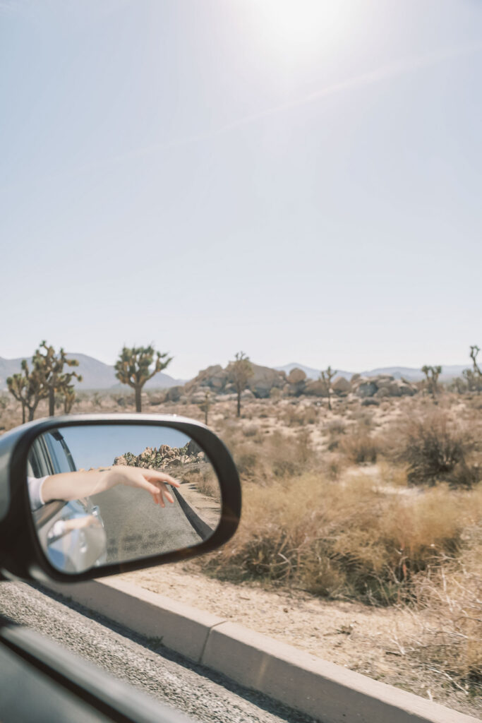 Side-mirror view of Joshua Tree desert, an arm reaching into the open air past cacti and boulders.